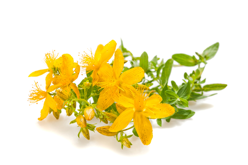 shutterstock_110964443.jpg