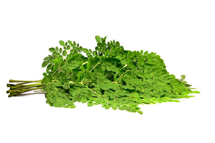 Moringa leaf.jpg