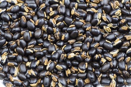 Mucuna pruriens.jpg